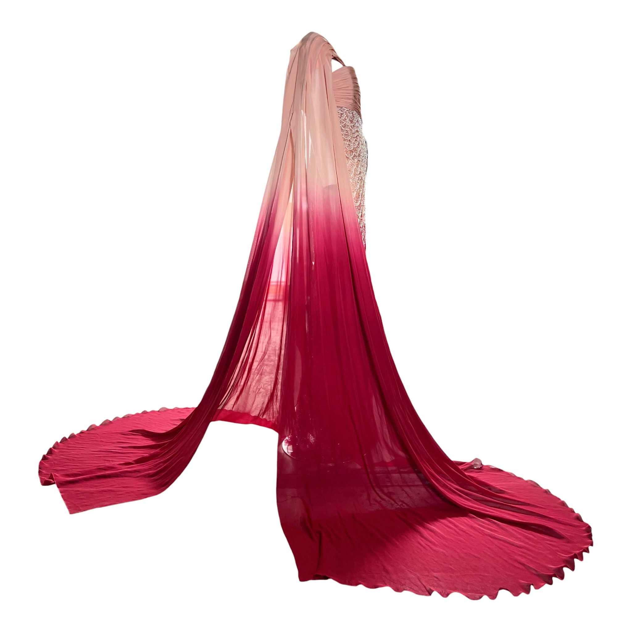 Tony Ward 2025 Blush to Rose Ombre Sequin Gown with stole, side with train