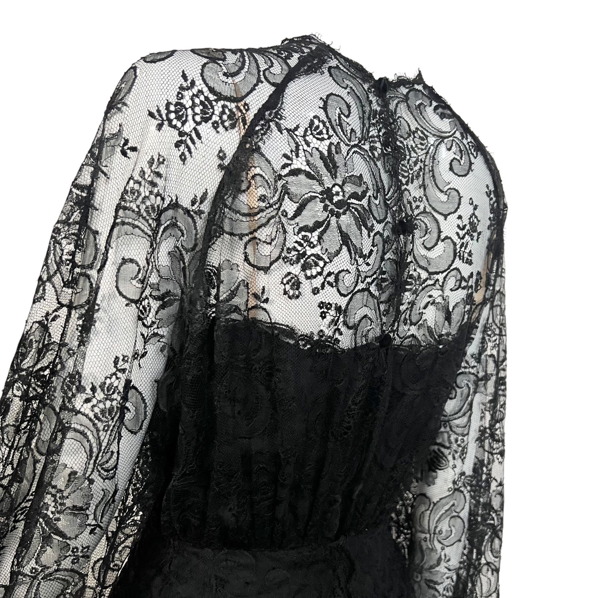 Galanos 1980's Black Chantilly Lace and Silk Chiffon Long Sleeve Gown side partial sleeve and back top