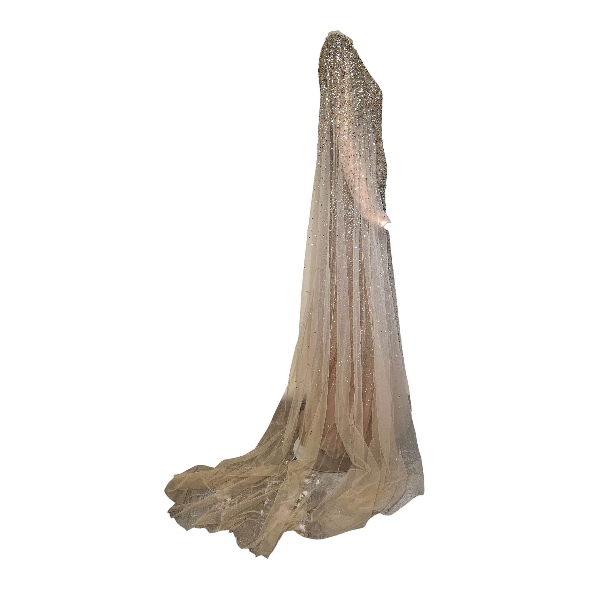 Tony Ward Fall 2025 Sheer Tulle Beaded ad Crystal Gown w/Waterfall Sleeves, side