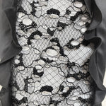 Alexander McQueen S/S 2012 Black Silk Ruffle and Lace Bodice Gown, back detail