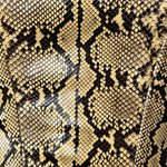 Peter Soronen F/W 2007 Snakeskin Corset with Chain Straps, close up