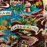 40s Hawaiian Brown Rayon Print Holomuu  Dress PRINT 5 of 5