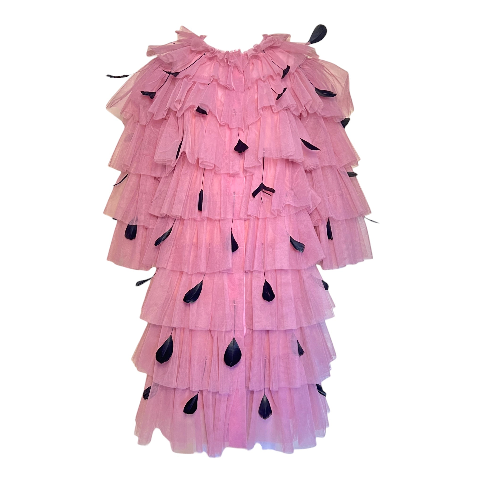 Huishan Zhang 2025 Tiered Pink Tulle Dress/Coat w/Feathers