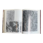 Lace: A History by Santina M. Levey, inside 2