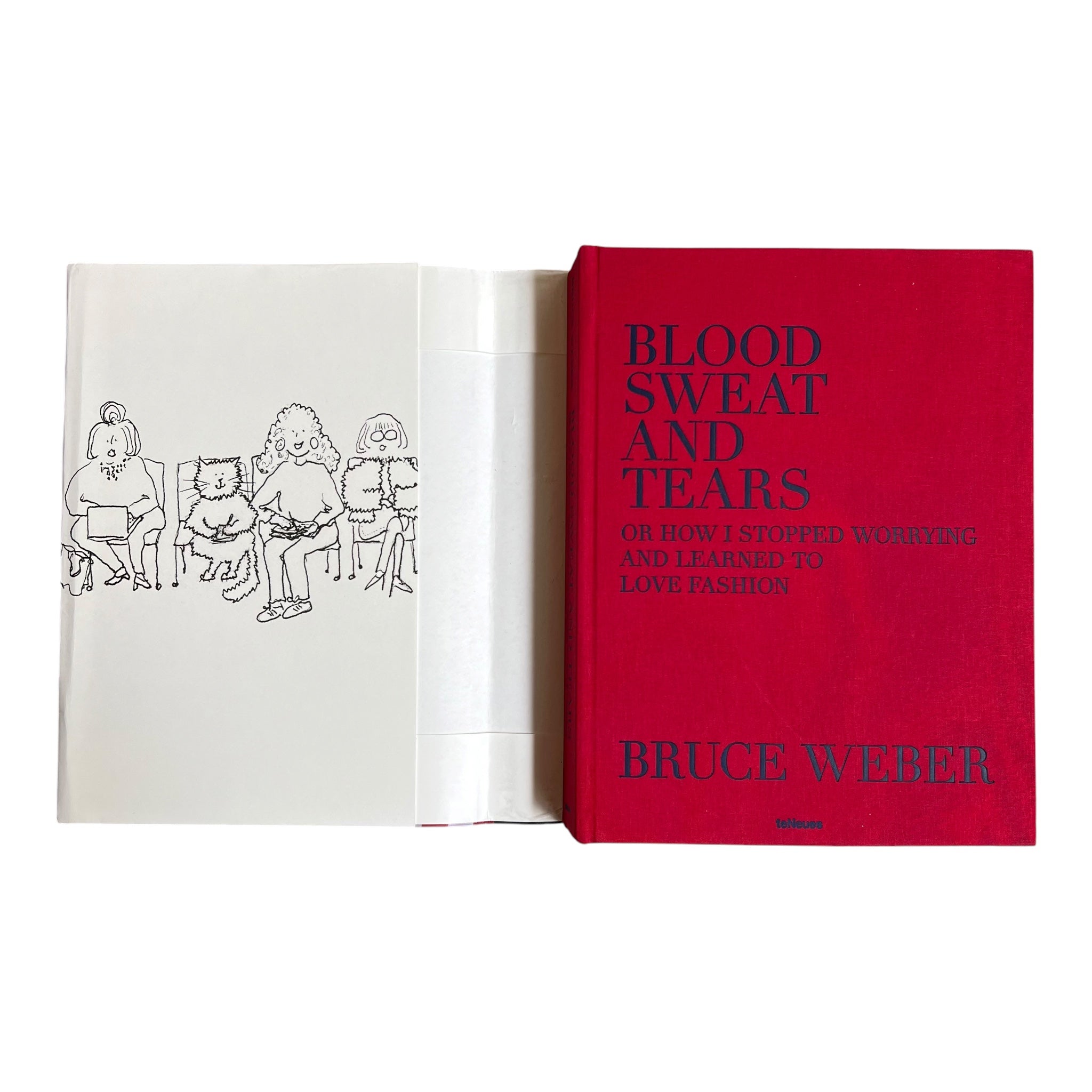 BLOOD SWEAT AND TEARS: Or How I Stopped Worrying and Learned to Love Fashion by Bruce Weber, dust jacket front