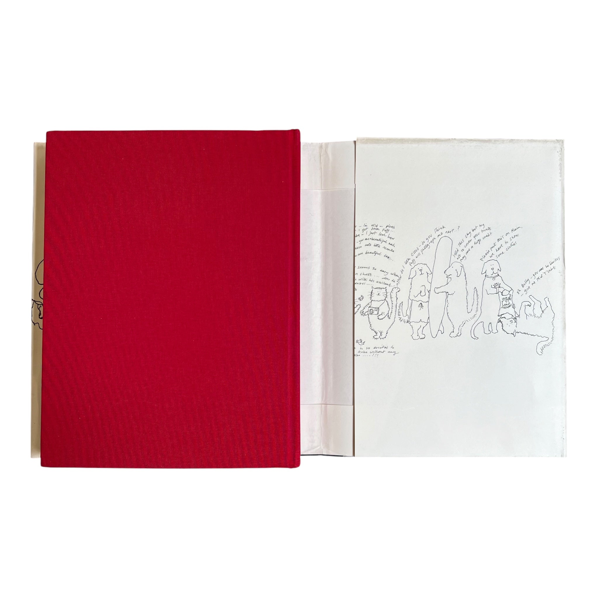 BLOOD SWEAT AND TEARS: Or How I Stopped Worrying and Learned to Love Fashion by Bruce Weber, dust jacket back