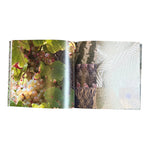 Mailles: Les Mouvements du fil by Francoice Teller-Loumagne, inside 2