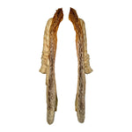 Yves Saint Laurent by Tom Ford F/W 2003 Petit Gris and Fox Fur Coat, opened
